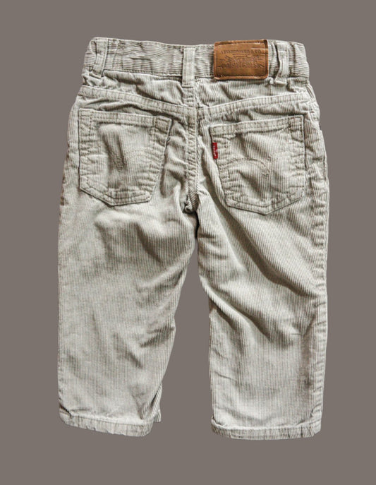 Beige Corduroy Jeans: 2T