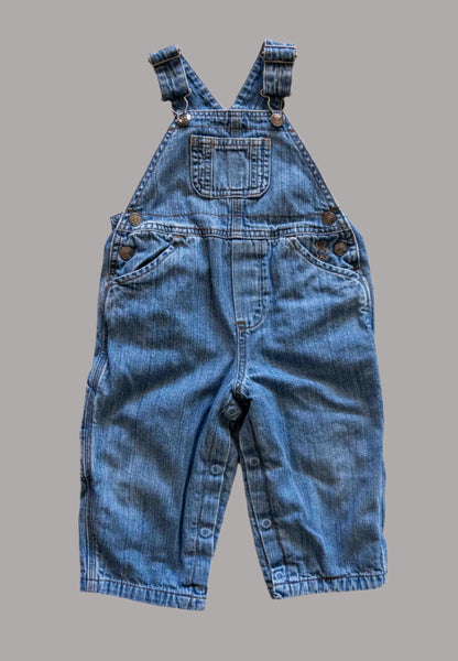 Blue Denim Lined Overalls: 18mos